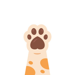 Cat Hand Paw
