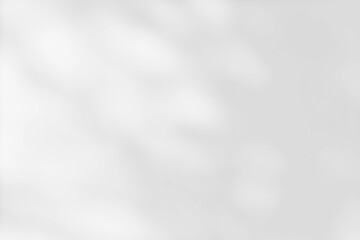 Shadow of leaves tree plant overlay on white wall. Sunlight effect shadow on the wall. Minimal blurred backdrop backgrounds. Summer tropical surface background.