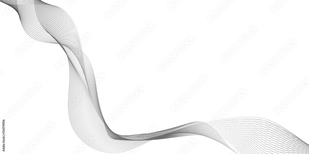 Wall mural abstract background with wave line, black gradient curve shape isolated on white background, a drawi