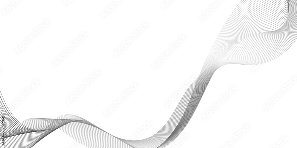 Wall mural abstract background with wave line, black gradient curve shape isolated on white background, a drawi