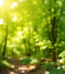 Fototapeta premium Soft, dreamy green bokeh, blurred forest background, green blur, mystical