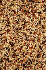 Organic Dry Asian Wild Rice, top view.