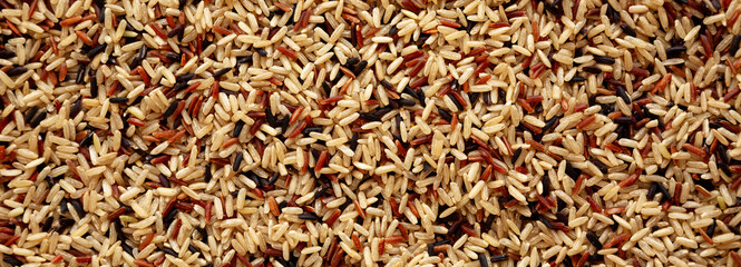 Organic Dry Asian Wild Rice, top view.