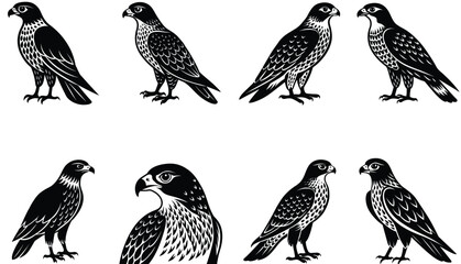 Hawk Bird Vector Shilhouette Bundle Set Collection