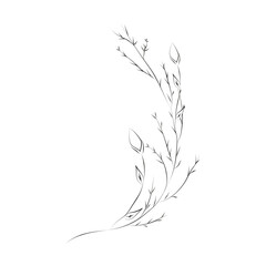 Line Drawing Botanical Wreath. Herbs and florals 10. Vector Illustration.