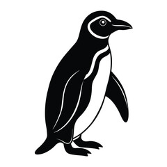 Obraz premium penguin vector illustration