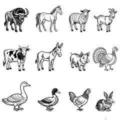 ANIMAL SET  VECTOR
