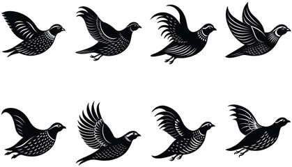 Quail Bird Vector Shilhouette Bundle Set Collection