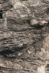 Brown limestone or sandstone rock natural surface