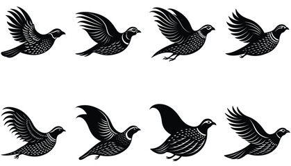 Quail Bird Vector Shilhouette Bundle Set Collection