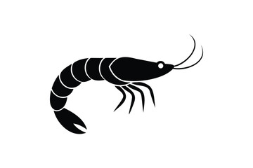 Shrimp on white background