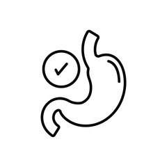 Stomach Vector icon