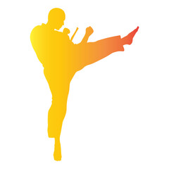 Obraz premium Taekwondo Silhouette on White Background. Vector Illustration in Colorful Design.