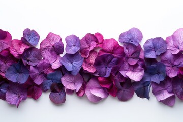 Obraz premium Colorful arrangement of hydrangea petals displayed on a white surface showcasing natural beauty and vibrant hues