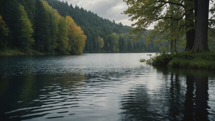 Naklejka premium A tranquil lake surrounded by lush trees and gentle ripples, evoking serenity and natural beauty.