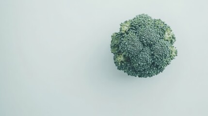 Fresh broccoli head on white background