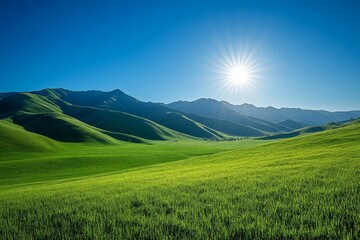 Fototapeta premium Sunlight illuminates rolling green hills under a clear blue sky in a serene landscape during midday