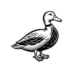 Duck vector