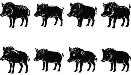 Wild Boar Vector Shilhouette Bundle Set Collection