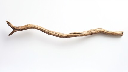 Driftwood branch, studio shot, natural light.  Possible use Design inspiration, nature art, background element