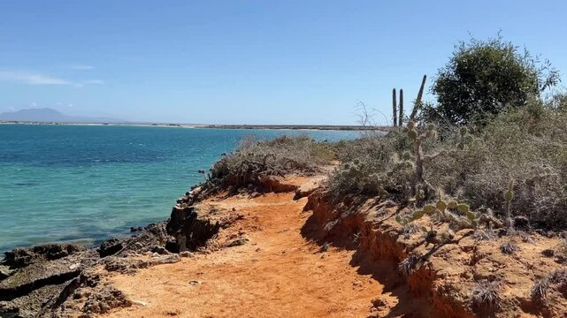 Tropical, exotic views and lots of cacti on the Venezuelan island of Cubagua