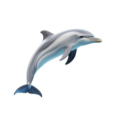 Obraz premium Dolphin isolated on transparent background