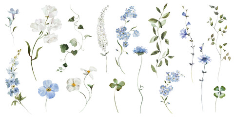 Watercolour floral illustration set. Blue white flowers green leaves individual elements collection. Hydrangea, myosotis, rose, peony, eucalyptus. Wedding invitation, prints fashion, bouquet, pattern.