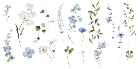 Watercolour floral illustration set. Blue white flowers green leaves individual elements collection. Hydrangea, myosotis, rose, peony, eucalyptus. Wedding invitation, prints fashion, bouquet, pattern. © Veris Studio