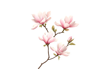 Naklejka premium Pink Magnolia Blossoms Branch Spring Flowers Nature Beauty