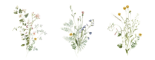 Watercolor wildflower floral illustration set - green gold flower daisy ivy wreath frame border bouquet. Wedding stationary, greetings, wallpaper, fashion, background, textile. Eucalyptus, olive, ivy.