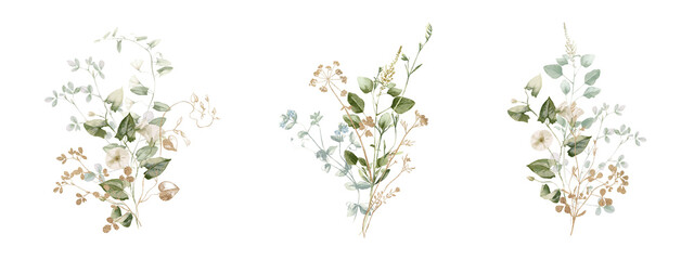 Watercolor wildflower floral illustration set - green gold flower daisy ivy wreath frame border bouquet. Wedding stationary, greetings, wallpaper, fashion, background, textile. Eucalyptus, olive, ivy.