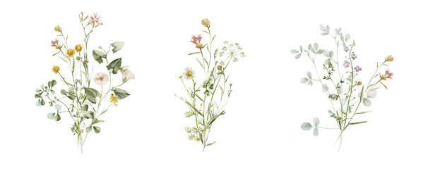 Watercolor wildflower floral illustration set - green gold flower daisy ivy wreath frame border bouquet. Wedding stationary, greetings, wallpaper, fashion, background, textile. Eucalyptus, olive, ivy.