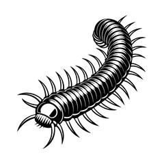 Obraz premium millipede silhouette vector 
