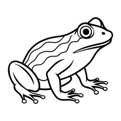 frog silhouette on white background
