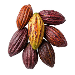 A vibrant collection of cocoa pods showcasing the natural beauty and diversity of chocolate ingredients.