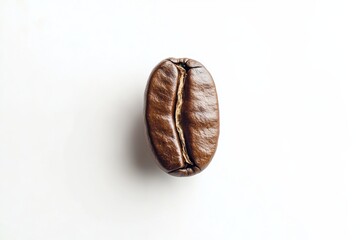 Coffee bean resting on a white background, highlighting its rich texture and natural color