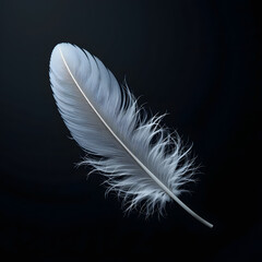 Obraz premium Minimalist Monochrome Close-Up of a Feather on Black Background