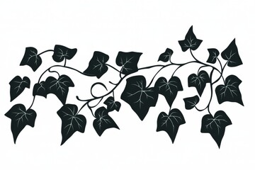 Obraz premium Decorative ivy vine illustration with detailed leaves in black silhouette on a plain background