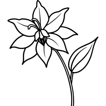 recommend clip art:  High-quality Columbine flower vector illustration, perfect for digital design and creative projects.