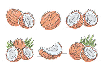 Coconut brown continuous one line drawing set. Outline coconut fruit icon collections isolated on a white background. Editable stroke. Vector illustration
