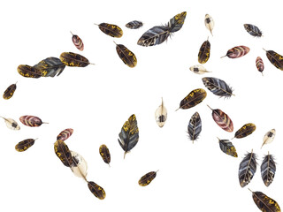 Adobe Illustrator Artwork