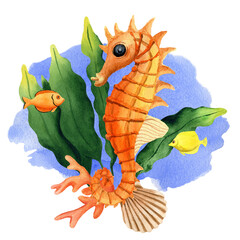 Seahorse with corals, shell, fishes and seaweed. Hand drawn watercolor illustration. For design of summer and beach prints, stickers, cards, postcards