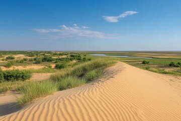 Golden sand dunes stretch across the horizon under a bright blue sky in a serene landscape by a winding river