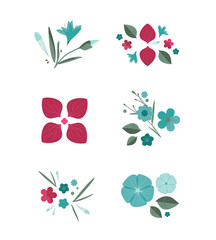 Motif herbier à partir de fleurs vectorielles, couleurs et motifs modifiables. Créer une illustration avec des fleurs, pétales et feuilles, diy personnalisable