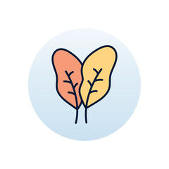 Spinach Vector icon