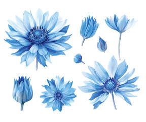 set of blue flowers