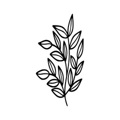 Leaves icon