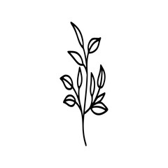Leaves icon