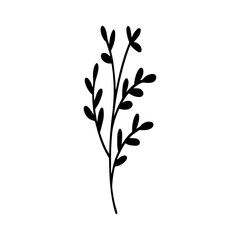 Leaves icon