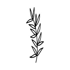 Leaves icon